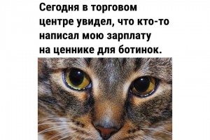 Зарплата на ценнике