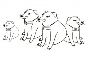 На рынке труда два дурака