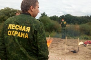 Путин предложил повысить зарплаты работникам лесных хозяйств и метеорологам