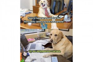 Как получаются крутые показатели