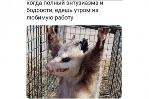 Твое лицо, когда едешь на работу