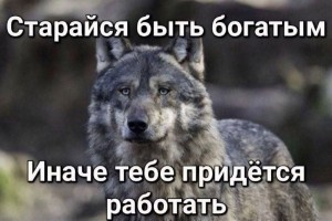 Мудрый совет