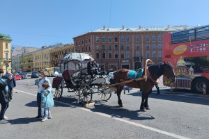 Туристы заплатят по 100 рублей в день за посещение Санкт-Петербурга