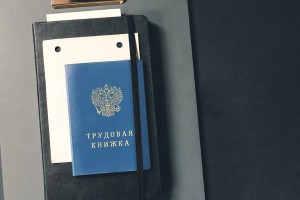 Вдов ветеранов боевых действий защитили от увольнений