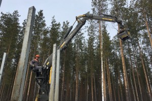 Эксперты рассказали, где предлагают высокие зарплаты работникам без опыта