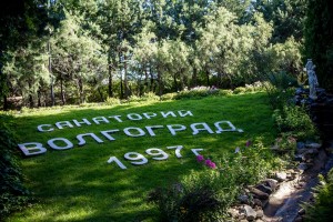 40 тысяч россиян с начала года бесплатно проехали к месту лечения