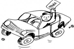 Мигрантам разрешат извоз по иностранным правам