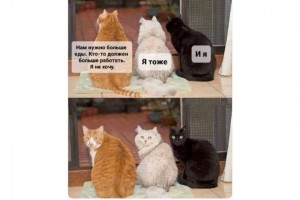 Кто будет больше работать?