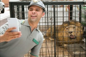 С неиссякаемым упорством: как один итальянец боролся за теплое место