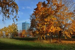 Отпуск на АВТОВАЗе в 2025 году: профсоюзным комитетом согласован проект приказа