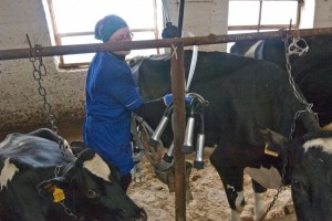 Работникам сельского хозяйства предлагают вернуть прежний пенсионный возраст