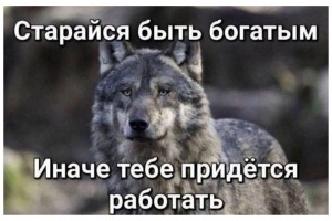 Ценный совет