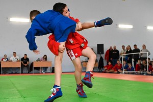 В Ставрополе прошёл турнир по самбо