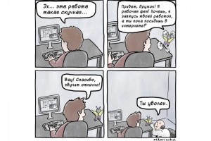 Когда фея оказалась шефом