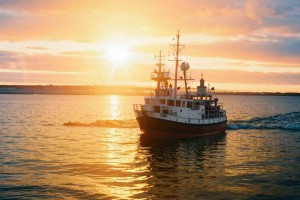 Рыбаков лишили добычи