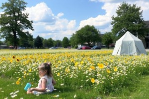 В мае у россиян дважды будут длинные выходные