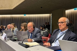 Женевская победа: хризотил не включен в запретительный список