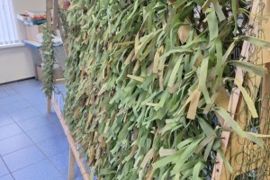 Гумпомощь и празднование Дня защиты детей в "первичке" АВТОВАЗа