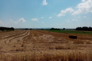 Девять из десяти сельхозпредприятий Ставрополья нарушают правила охраны труда