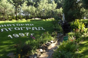 Председатель ФНПР принял участие в обсуждении перспектив развития российского санаторно-курортного комплекса