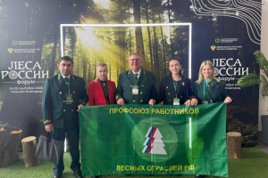 На вершине отраслевого успеха: специалисты ЦФО задали тон на Всероссийском форуме «Леса России»