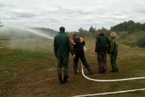 Профсоюзы добились выделения средств Бурятии на борьбу с лесными пожарами
