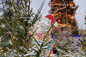 Новогодние каникулы‑2026: россияне расходятся во мнениях о длительности отдыха