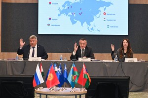 Зажиточный минимум