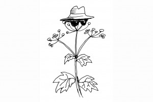 Вор у жертвы дубинку украл