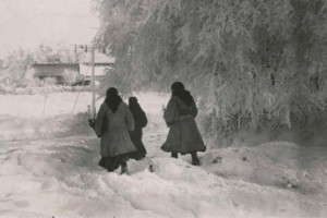 Теплушки, тиф и продпайки