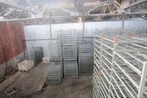 Вот тебе, бабушка, и рыбный день