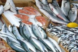 Рыбакам готовят “амнистию”