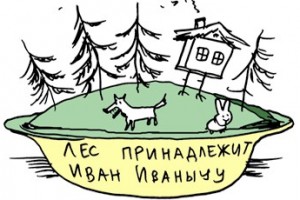 Восстановление лесов оплатит бизнес