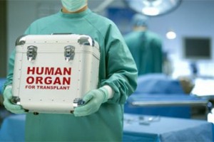 В России создадут единую базу данных донорских органов