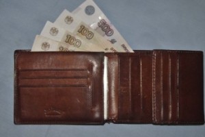 В России может появиться Агентство по выплате зарплат