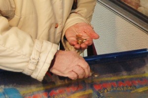 Бедность навскидку