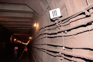 Диггерам грозят повышением штрафов