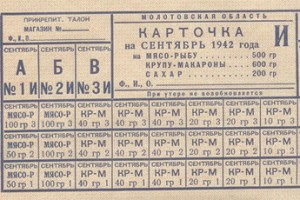 За электронной колбасой