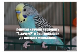 Карьерный рост