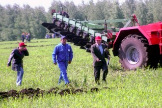 Агрономы обгоняют айтишников: зарплаты в сельском хозяйстве выросли на 14%