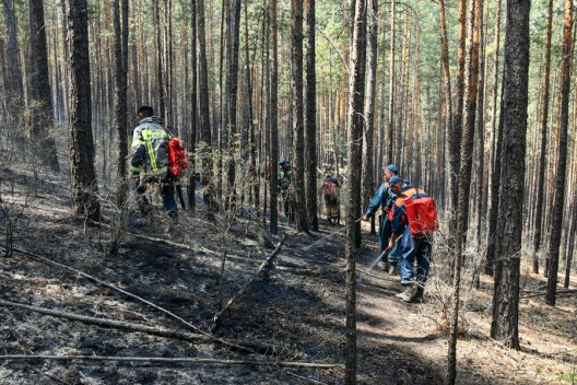 Пожар не делит надвое