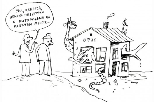 Мы самая обаятельная и привлекательная фирма