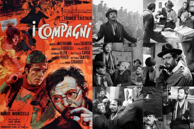 Товарищи Товарищи