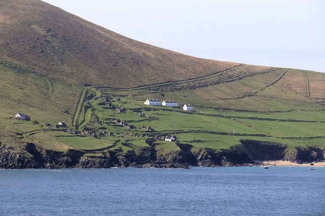 За деньги и с удовольствием