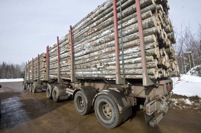 Карельский поселок оказался под угрозой существования из-за невыплаты зарплаты работникам леспромхоза Карельский поселок оказался под угрозой существования из-за невыплаты зарплаты работникам леспромхоза
