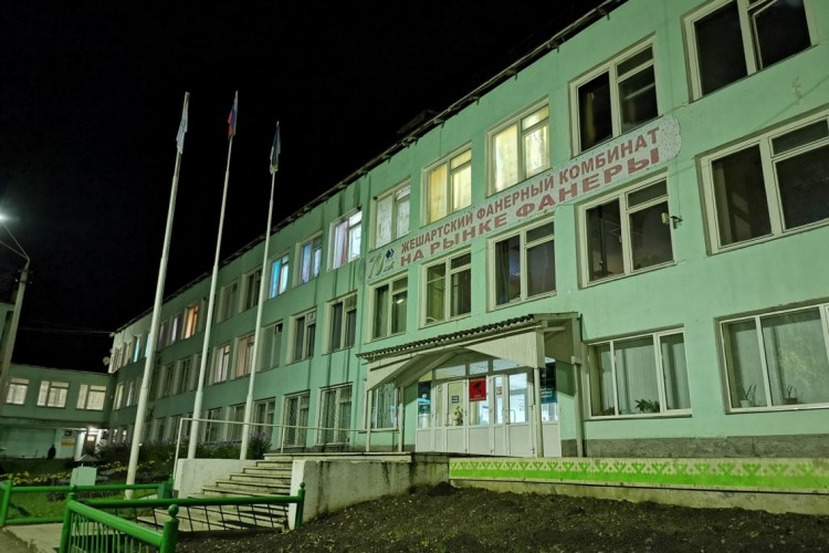 Рослеспрофсоюз борется за спасение Жешартского фанерного комбината