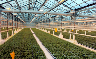 Возвращение профвзносов