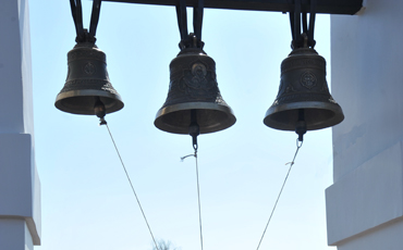 Лояльная степень родства