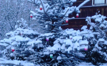 Россияне с меньшей зарплатой больше рады новогодним каникулам