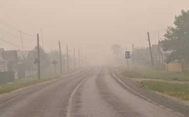 За лесами вновь присмотрят регионы?